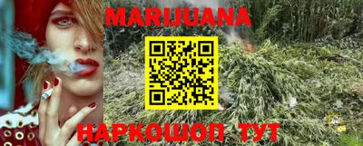 индика Краснознаменск