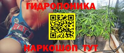 индика Краснознаменск