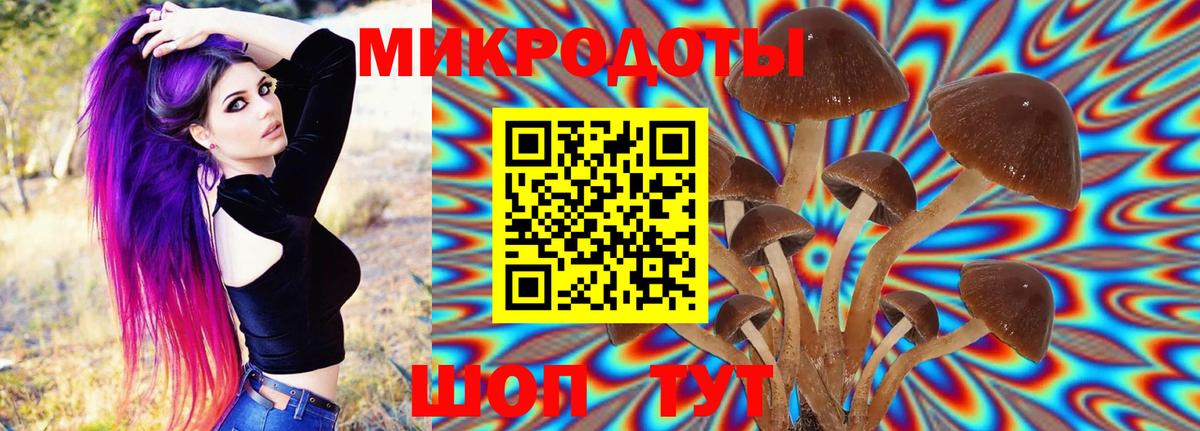 Псилоцибиновые грибы GOLDEN TEACHER  Галлюциногенные грибы MAGIC MUSHROOMS  Красногорск  Вход с VPN 